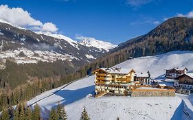 Gasthof Tannen - Alm